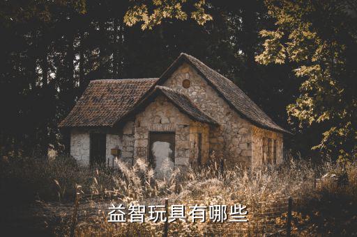 益智类的玩具益智玩具有那些(图2)