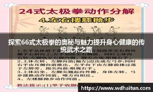 探索66式太极拳的奥秘与魅力提升身心健康的传统武术之路